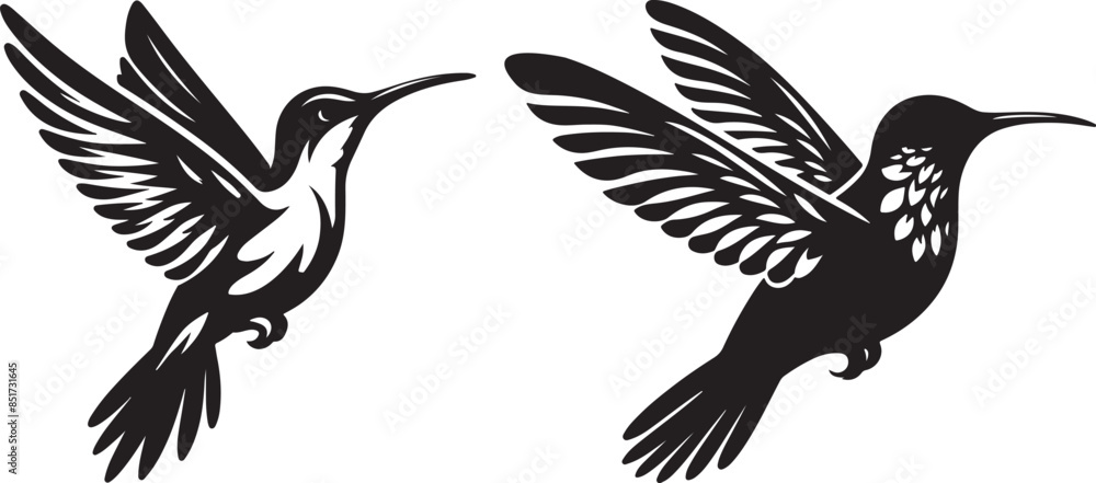 Fototapeta premium Vector art and illustration of Hummingbird silhouette style image