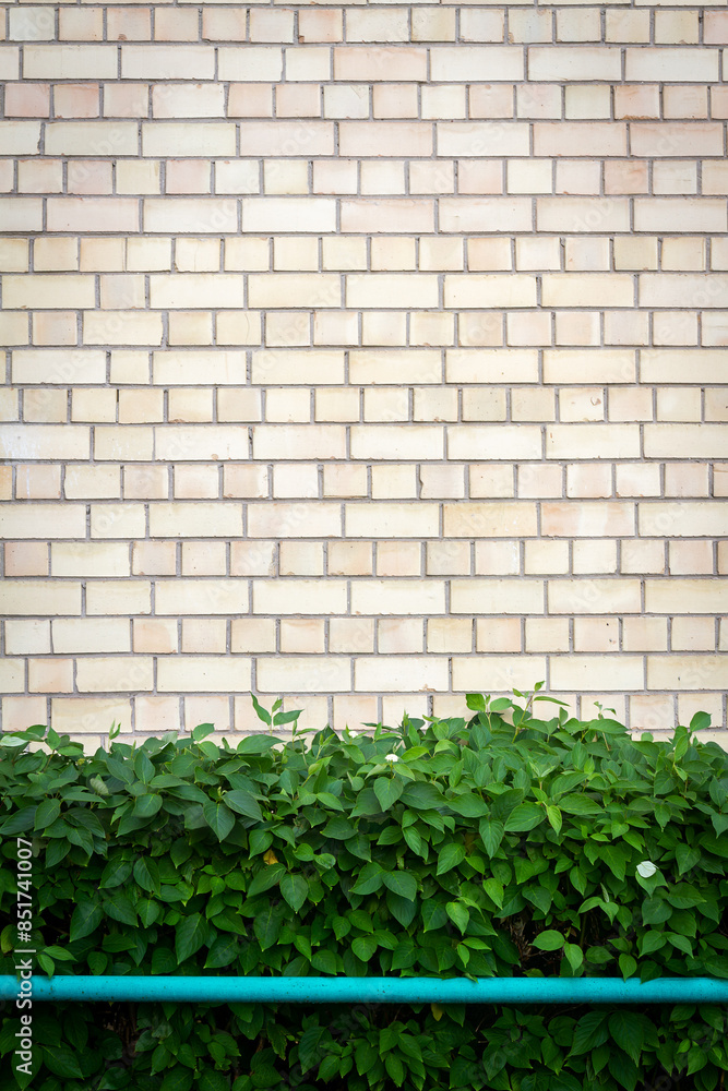 Yellow brick wall background