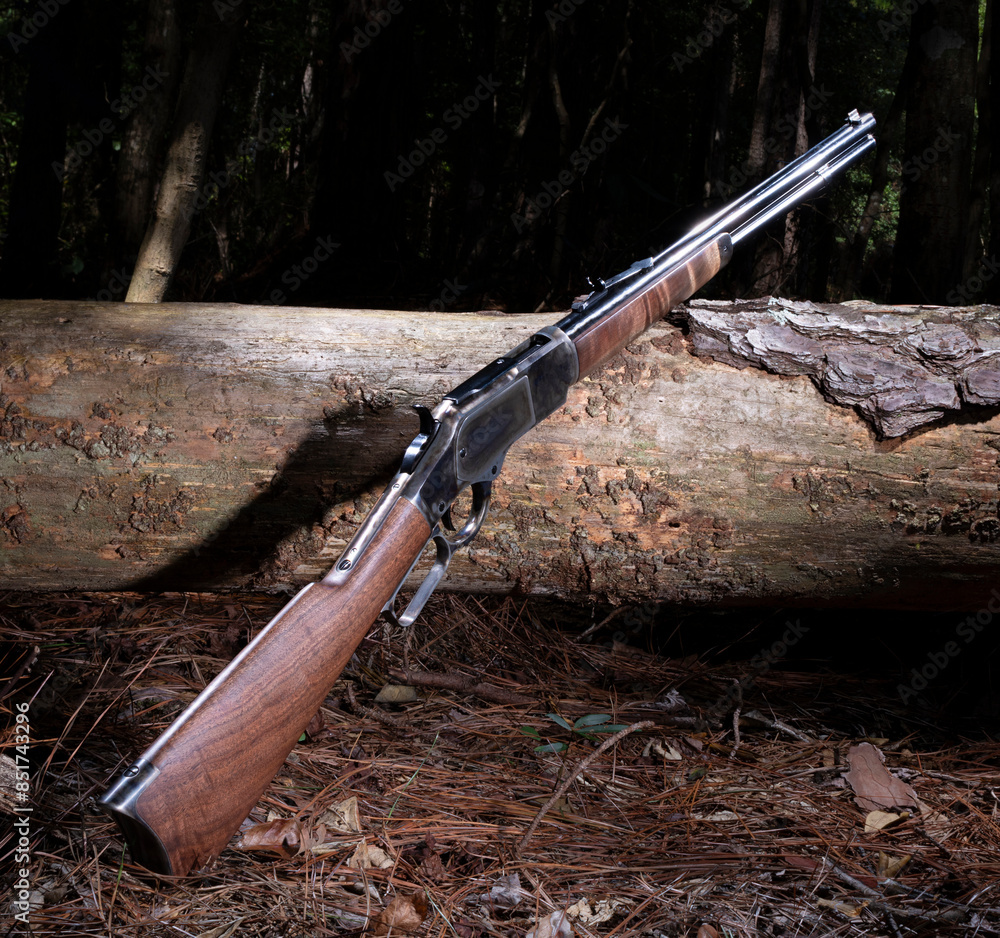 Nighfall coming over the forest and lever action rifle