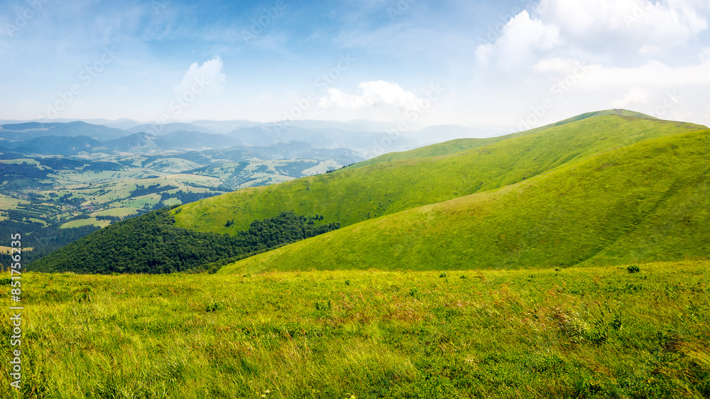 carpathian mountain landscape of ukraine in summer. natural scenery of alpine grassy hills and meadows on a sunny day. mnt. magura zhyde in the distance. popular travel destination of transcarpathia