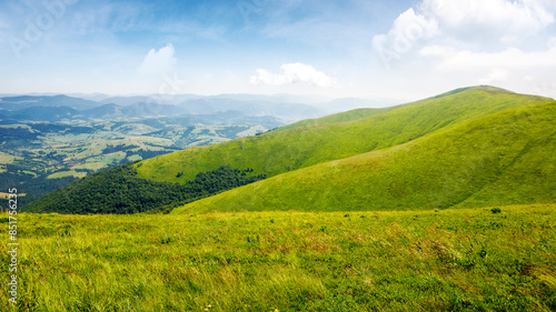 Obraz na płótnie carpathian mountain landscape of ukraine in summer. natural scenery of alpine grassy hills and meadows on a sunny day. mnt. magura zhyde in the distance. popular travel destination of transcarpathia w salonie