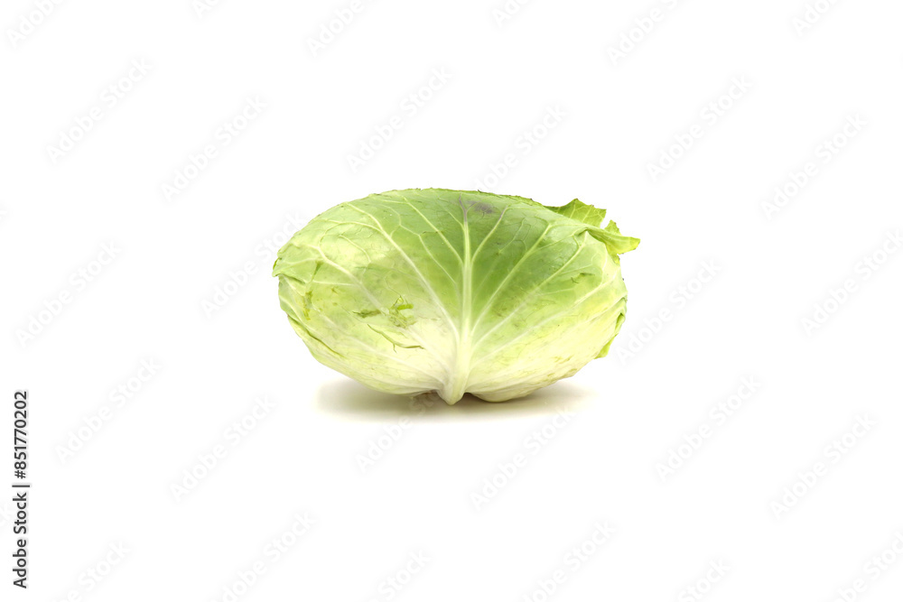 Fototapeta premium cabbage isolated on white background