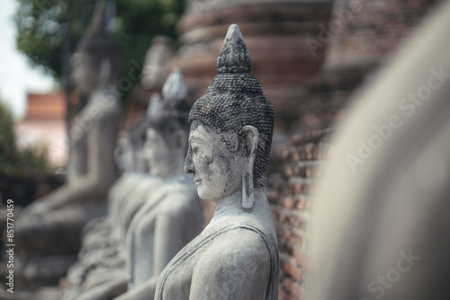 A serene row of ancient Buddha statues in a historic temple, with the foreground statue prominently detailed against a softly focused background.  Wat Yai Chai Mongkol  Ayutthaya , Thailand 