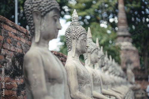 A serene row of ancient Buddha statues in a historic temple, with the foreground statue prominently detailed against a softly focused background.  Wat Yai Chai Mongkol  Ayutthaya , Thailand 