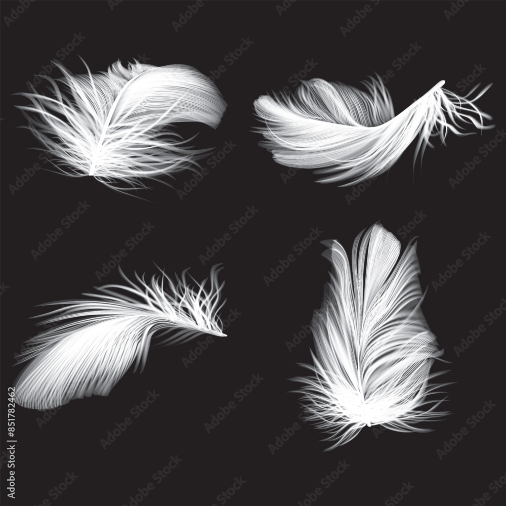 Obraz premium set of white feathers