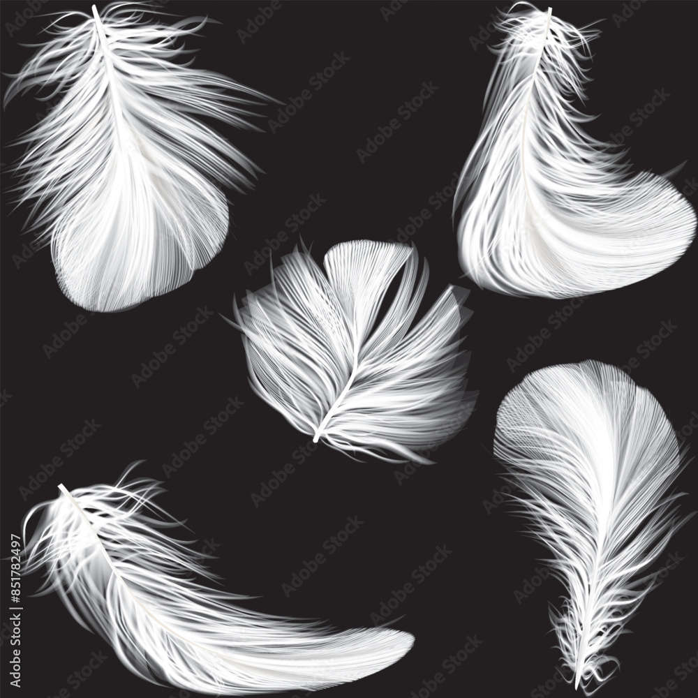 Obraz premium feathers seamless background
