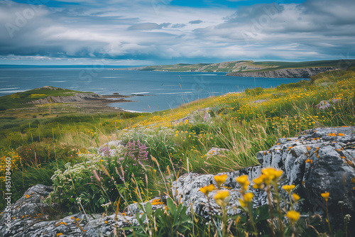 Landscape of a Tundra Wallpaper, Wallpaper Displaying Nature's Tranquility and Copy Space, Ideal for Vacation Themes photo