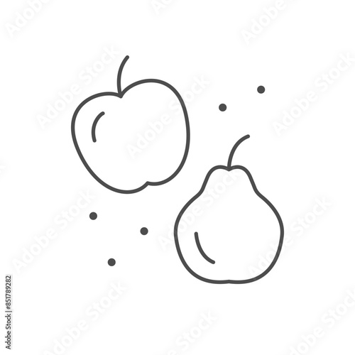Apple and pear line icon