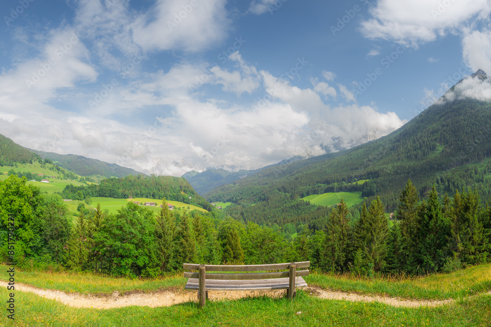 Meadow with road in Berchtesgaden National Park Meadow with road in Berchtesgaden National Park