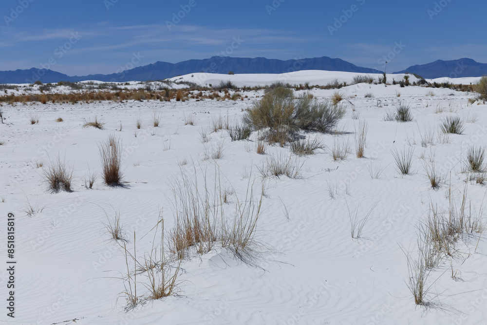 Sand dunes at White Sands National Park, New Mexico
Sand dunes at White Sands National Park, New Mexico
