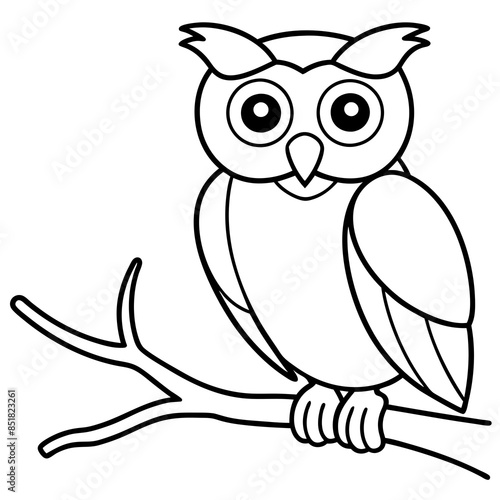 Owl Vector line art and silhouette illustration photo