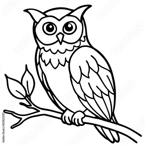 Owl Vector line art and silhouette illustration photo