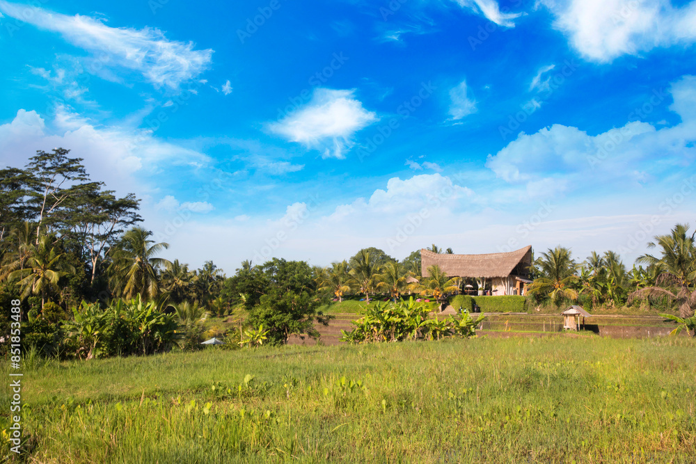 Beautiful view of a typical Bali village, Indonesia