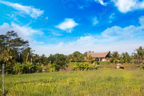 Obraz na płótnie Beautiful view of a typical Bali village, Indonesia w salonie