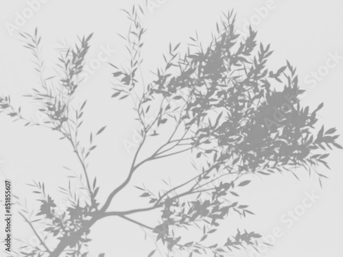 Bild auf Leinwand Leaf Tree Shadow Animation - 4K UHD White Background Image - Gobo Overlay Effect