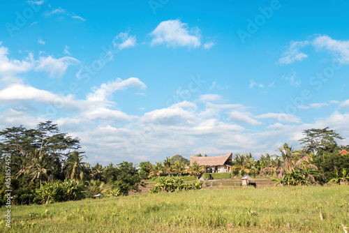 Obraz na płótnie Beautiful view of a typical Bali village, Indonesia w salonie