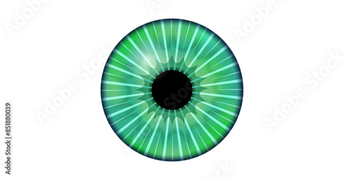 Iris medical poster