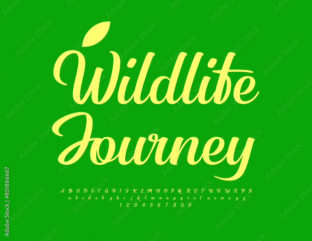 Vector travel advertisement Wildlife Journey. Trendy Cursive Font. Modern Alphabet Letters and Numbers set. Vector travel advertisement Wildlife Journey. Trendy Cursive Font. Modern Alphabet Letters and Numbers set.