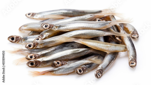 A Fresh Heap of European Anchovies Ready for the Table. photo