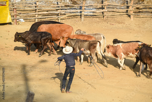 Wallpaper Mural charro Torontodigital.ca