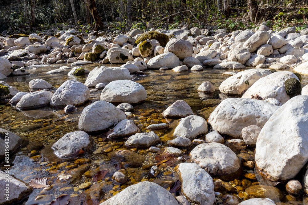 the texture of the riverbank with a stone bed and a leisurely flow, autumn park the texture of the riverbank with a stone bed and a leisurely flow, autumn park