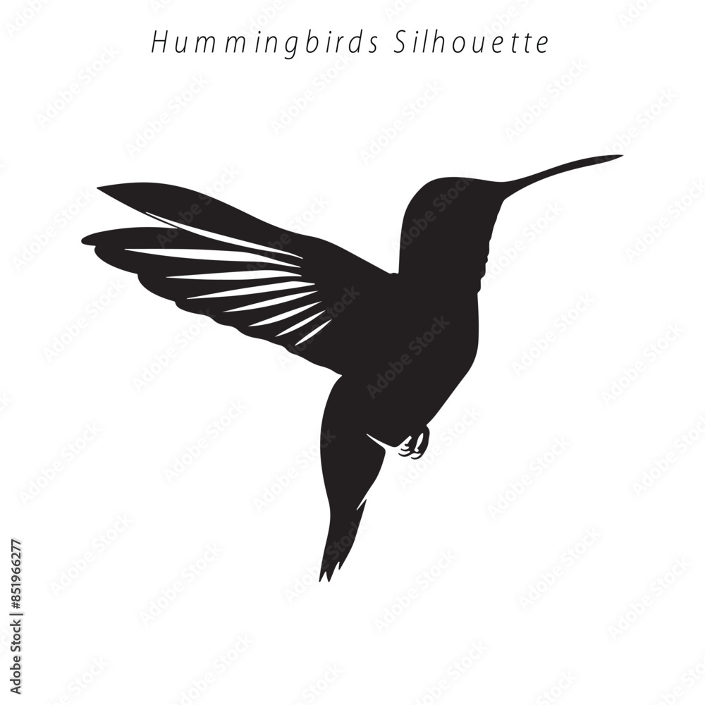 Fototapeta premium silhouettes of a hummingbird