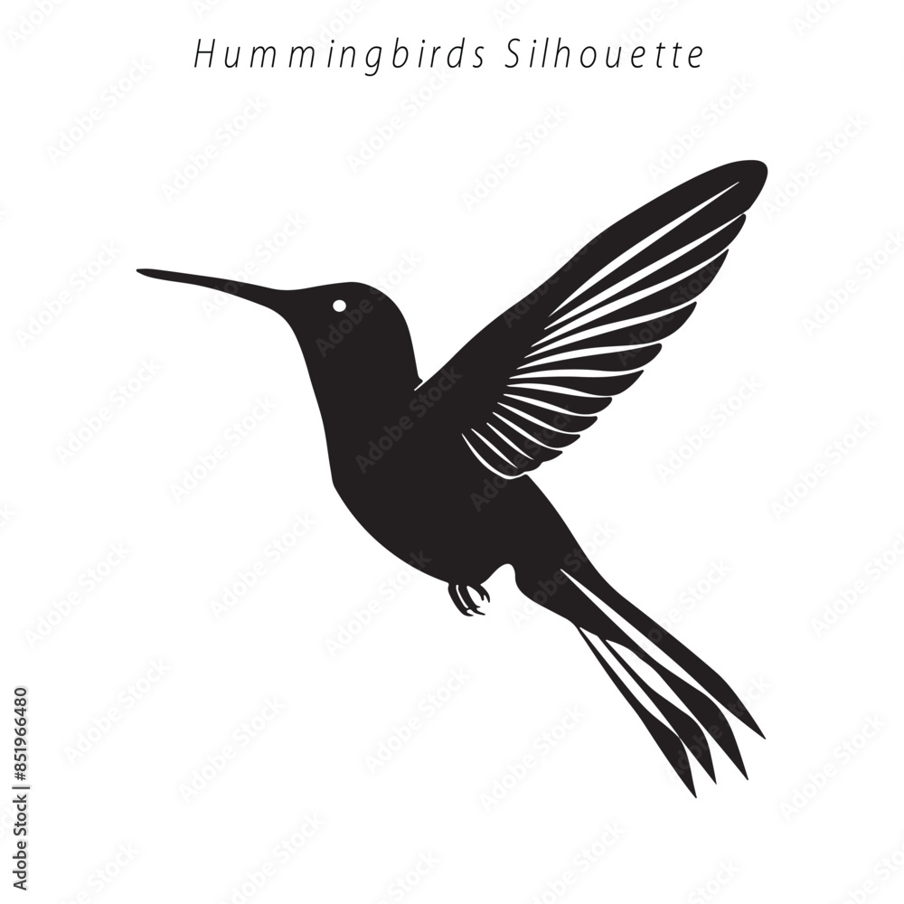 Fototapeta premium silhouettes of a hummingbird
