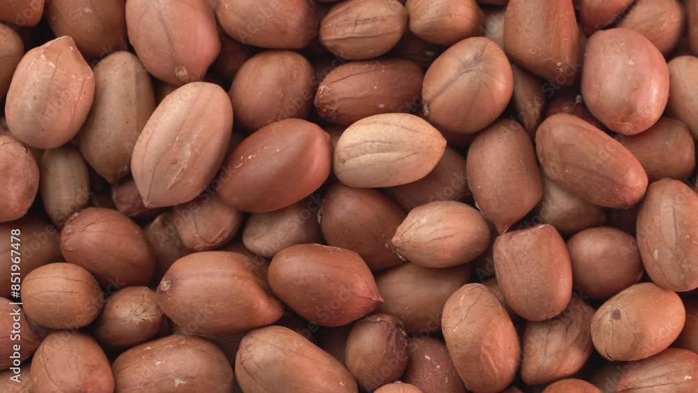 Red Peeled Peanut Close Up Background Texture
Red Peeled Peanut Close Up Background Texture