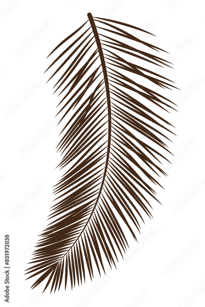 Obraz premium Botanical tropical palm pointed long multifoliate leaves branches hand drawn line for modern design decoration. Flat doodle style. Vector illustration.