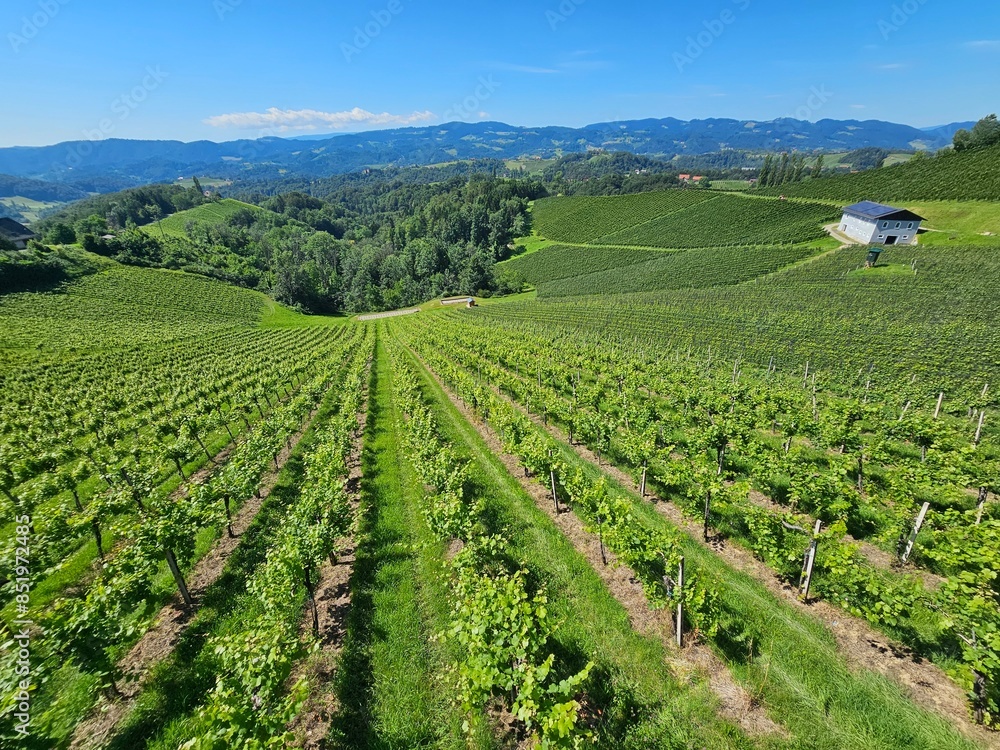 Südsteiermark Weinstraße Südsteiermark Weinstraße