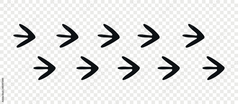 Footpath trail of animal. Masked Lapwing paws. Paw foot trail print of Masked Lapwing on white background.Vector animal steps in black color. Footpath trail of animal. Masked Lapwing paws. Paw foot trail print of Masked Lapwing on white background.Vector animal steps in black color.