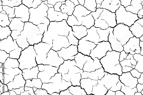 The texture of the cracks is white and black. Vector background. Cracked ground. Structure of cracks. Cracks in the texture of dry soil surface.