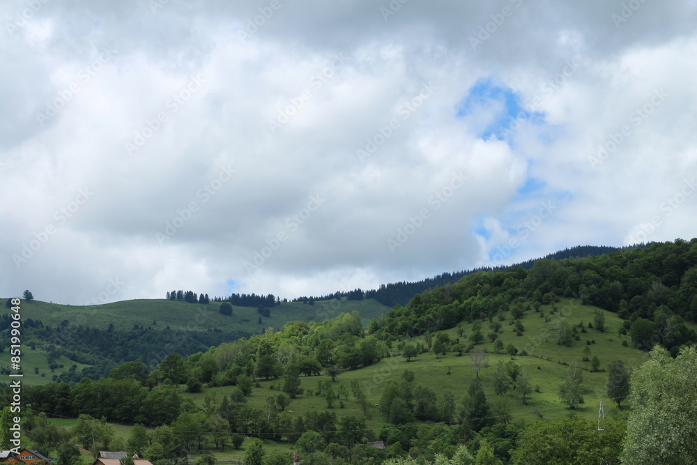 Obraz premium A landscape with trees and clouds