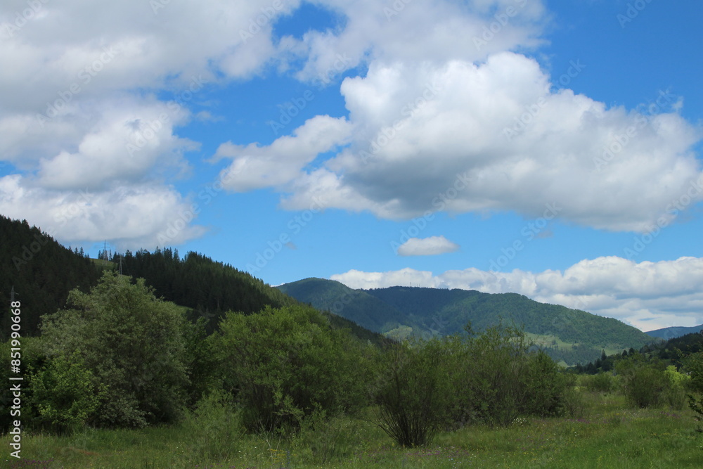A landscape with trees and mountains in the background A landscape with trees and mountains in the background
