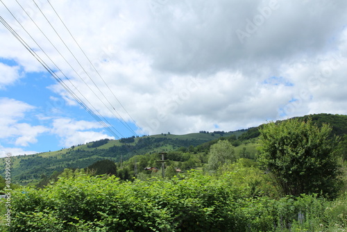 A landscape with trees and power lines