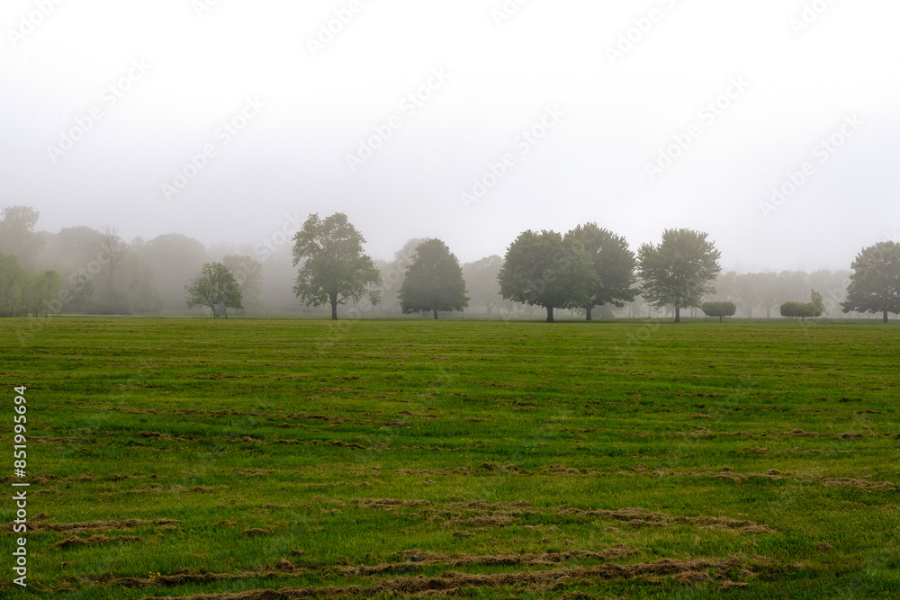 Misty and foggy morning in the niagara field Misty and foggy morning in the niagara field
