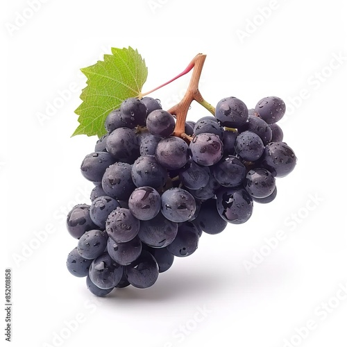 Red Grenache Grapes Isolated on Solid Background