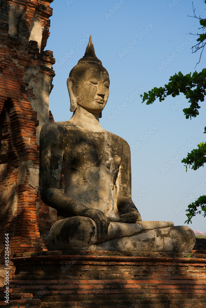 Obraz premium buddha statue