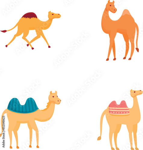Cute camel icons set cartoon vector. Various type of camel with saddlery. Desert animal
