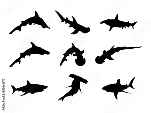 Set of Hammerhead Shark Silhouette in various poses isolated on white background