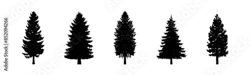 Pinetree vector silhouette. Tree flat black emblem set.