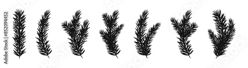 Fir branch vector silhouette set. Pinetree twig flat black collection.