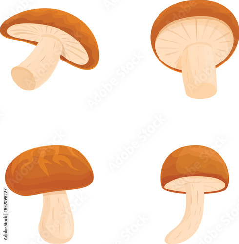 Shiitake mushroom icons set cartoon vector. Asian shiitake mushroom or fungi. Autumn food
