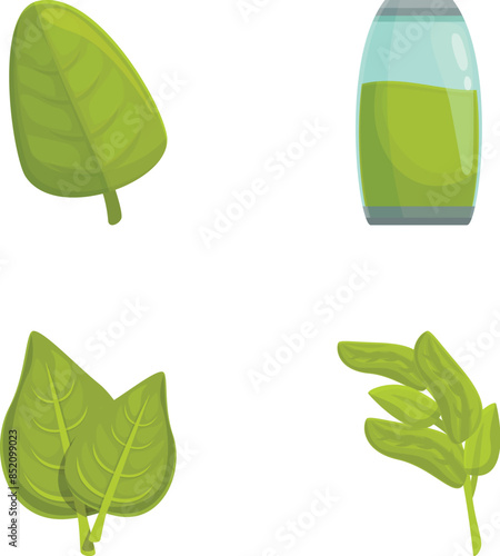 Basil drink icons set cartoon vector. Basil stem with green leaf. Healthy herbal plant