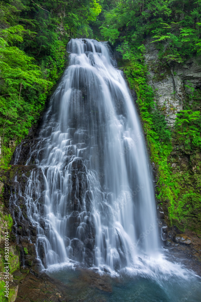 Obraz premium waterfall in the forest