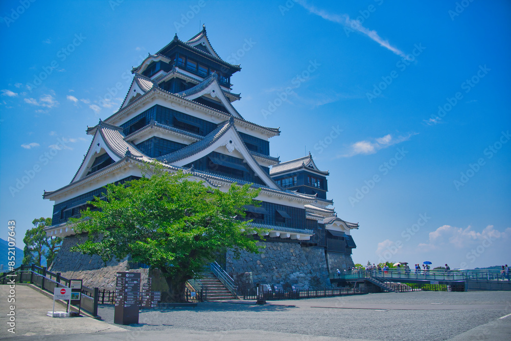 Fototapeta premium 熊本城