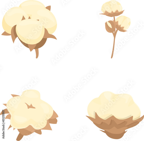 Vector set of cotton plant illustrations on white background, showcasing the natural fibers and ecofriendly sustainability of this organic crop. Perfect for agriculture or textile design projects