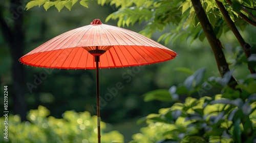Wallpaper Mural Vibrant umbrella featuring a classic bamboo support Torontodigital.ca