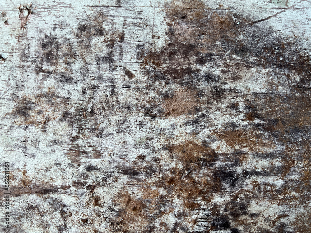old grunge wooden textures and grunge backgrounds. old grunge wooden textures and grunge backgrounds.