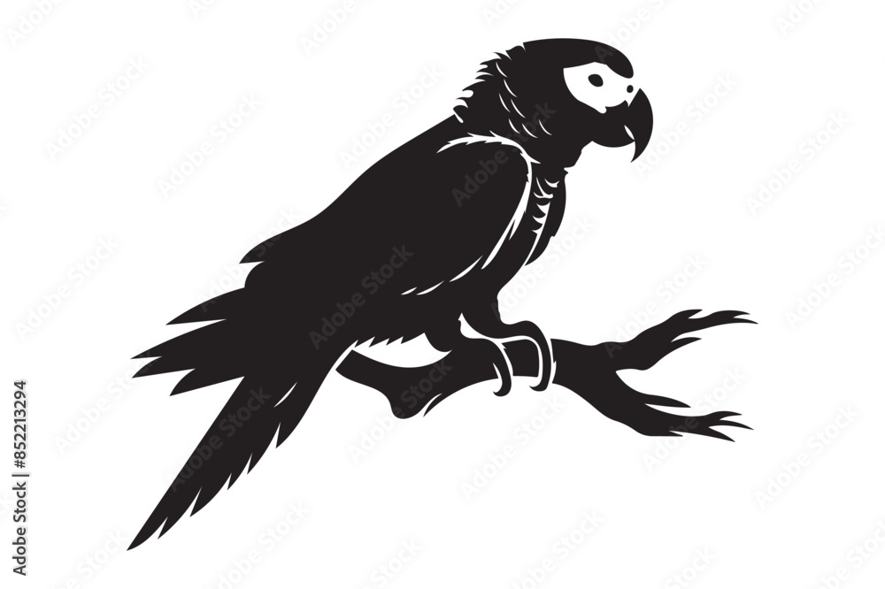 Fototapeta premium black and white parrot